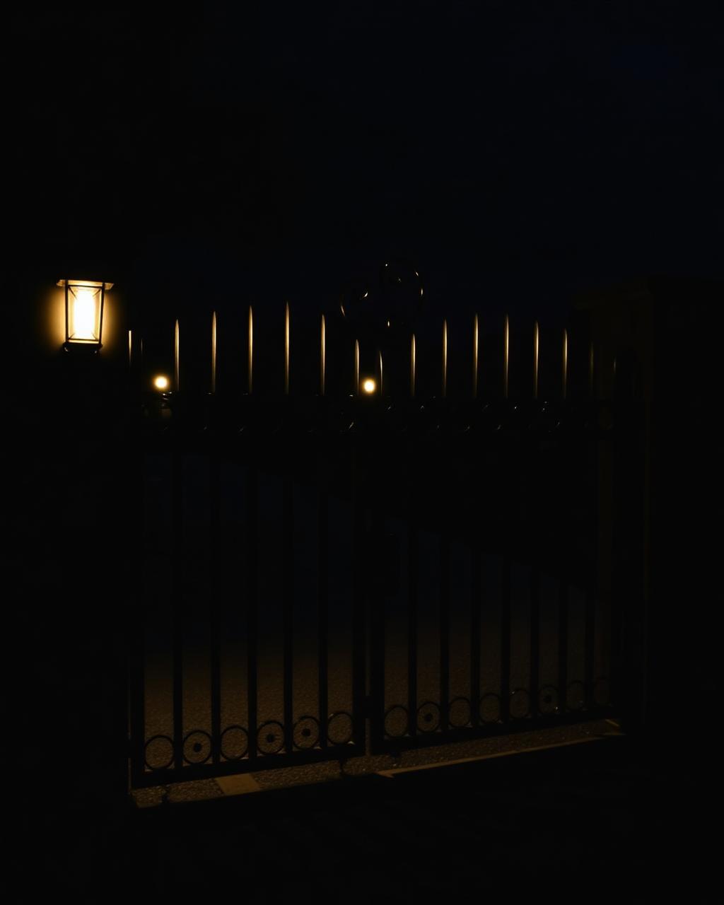 Custom Driveway Gate